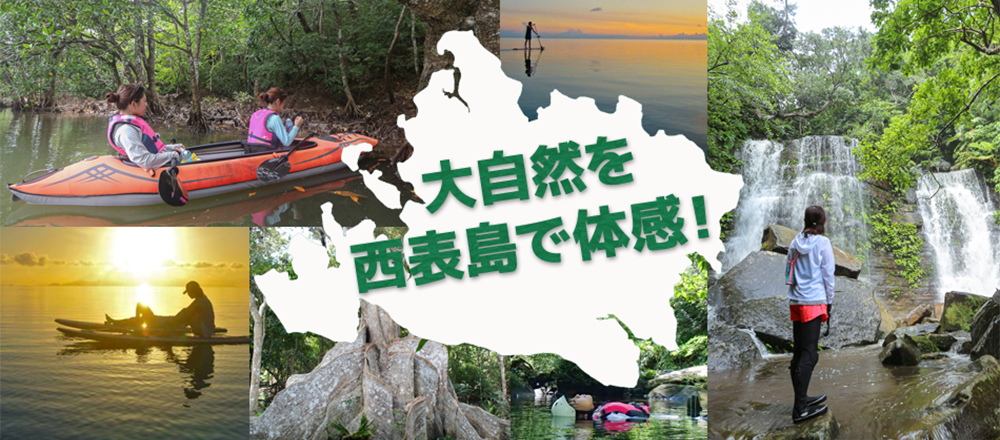 大自然を西表島で体感！