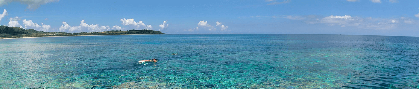 アクティビティ