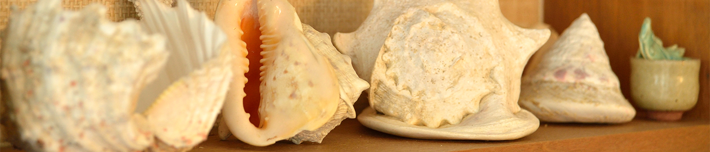 西表島の宿竹盛旅館