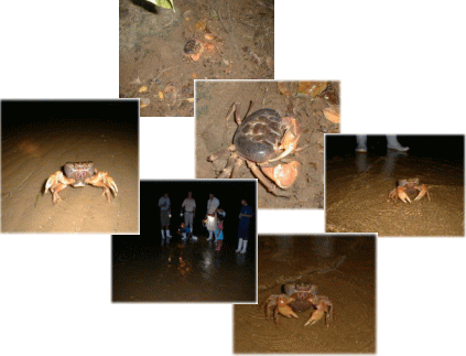 �N���b�N����Ƒ傫�Ȏʐ^�������ɂȂ�܂��B